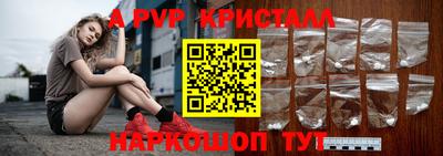 СК Моздок